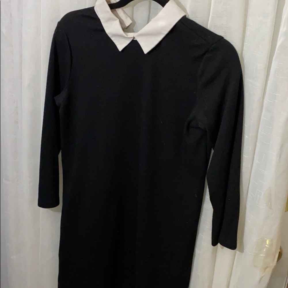 Zara black and white dress